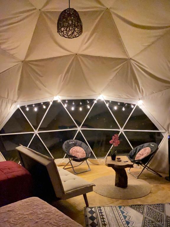 Domo Glamping en el bosque - Coñaripe - 1
