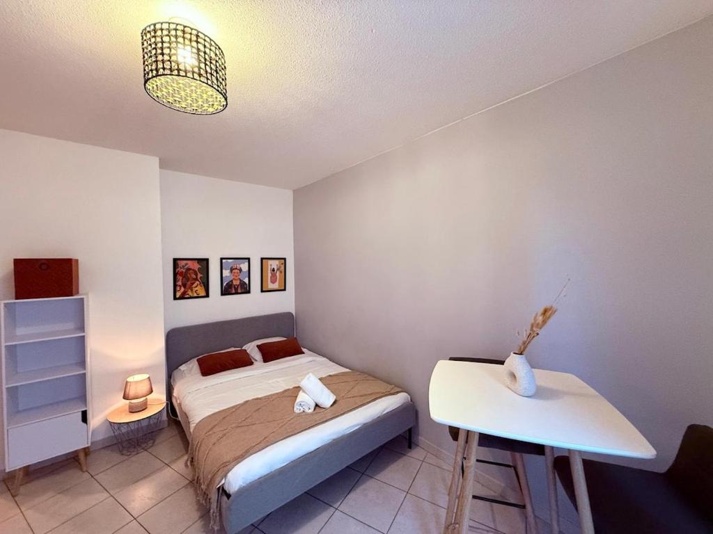 6 Anatole - Studio - Charpennes - 1