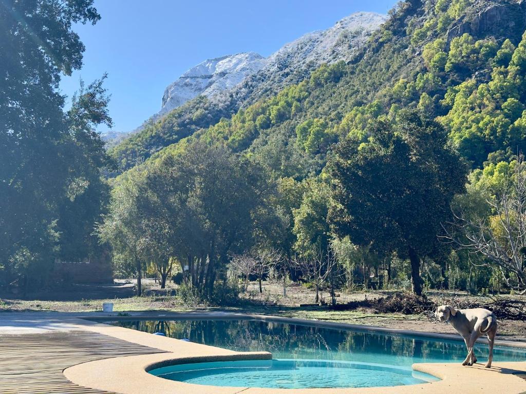 Bandurria Lodge - 4