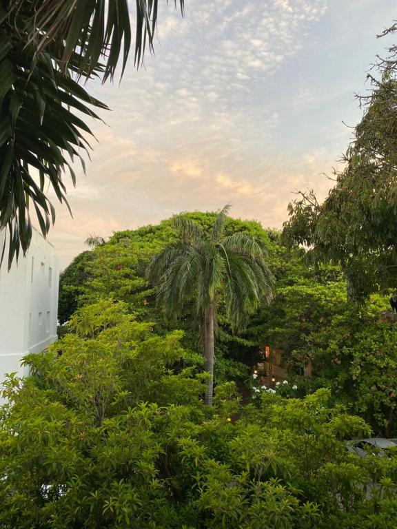 Apartamento En El Centro Histórico De Cartagena, Turistico y colonial - 4