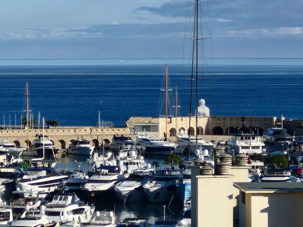 Large 3-bedroom apartment Port Vauban - 4