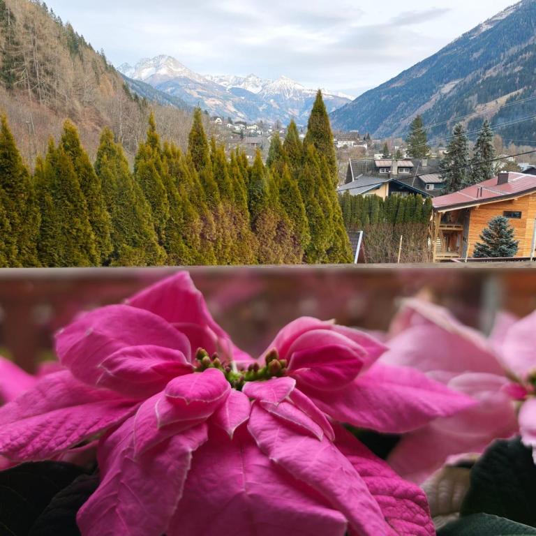 Chalet Ad Alta - Flattach - 2