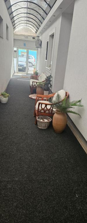 Executive paradise Family and Business Suites - 5