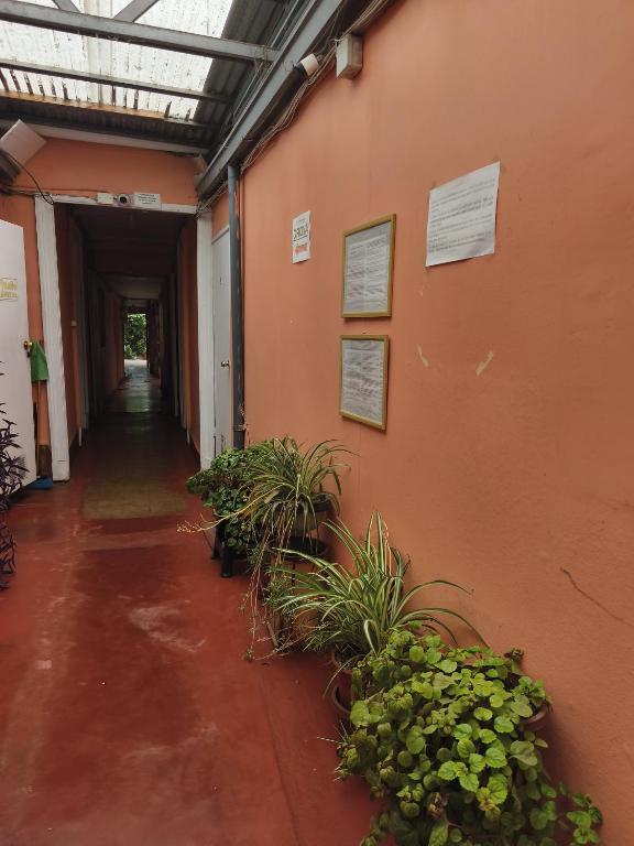 Casona - 2