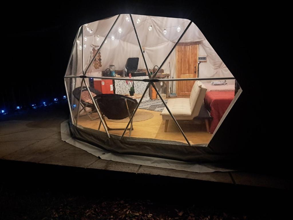 Domo Glamping en el bosque - Coñaripe - 4