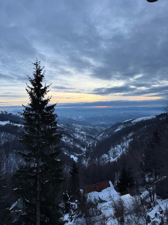 Rajski Kutak Kopaonik - 3