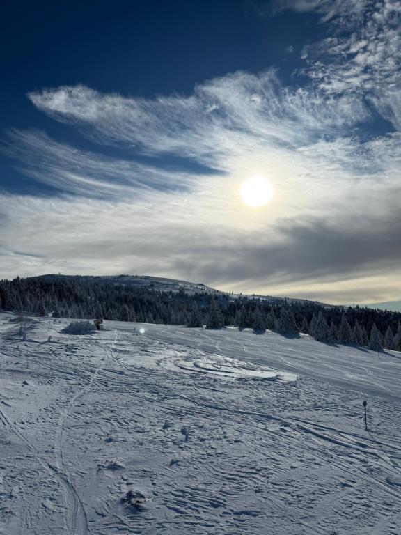 Rajski Kutak Kopaonik - 4