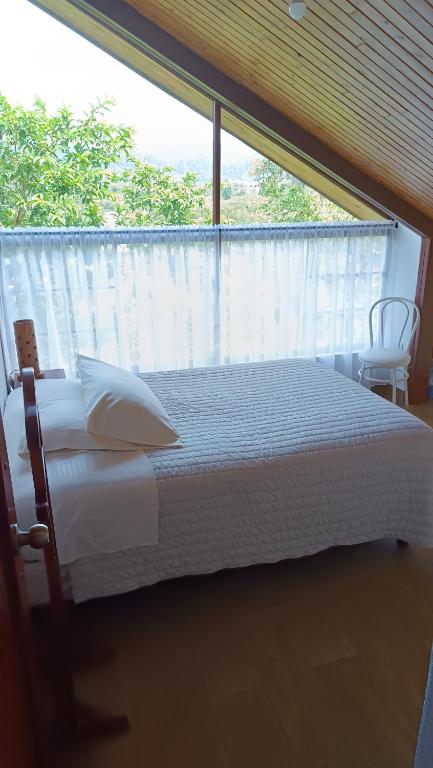Mindo Suites - Toucans - 5