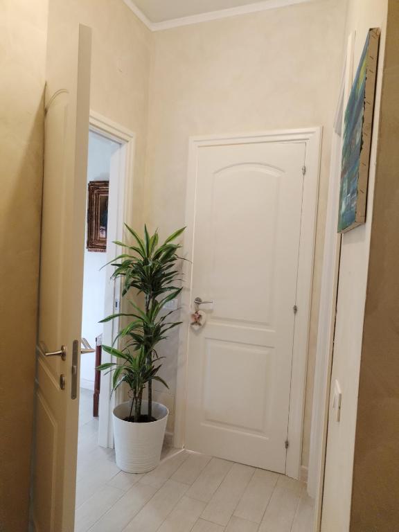 Casa Mari - 5