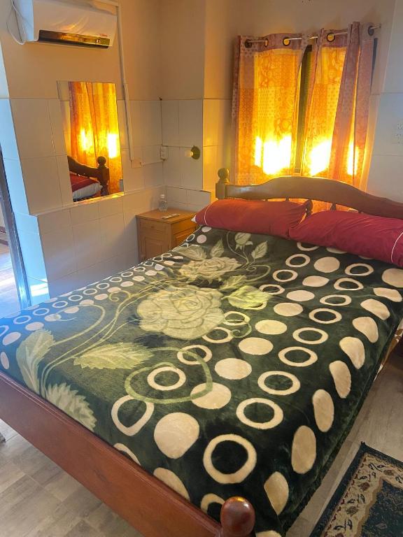 Apartamentos Quintana - 2
