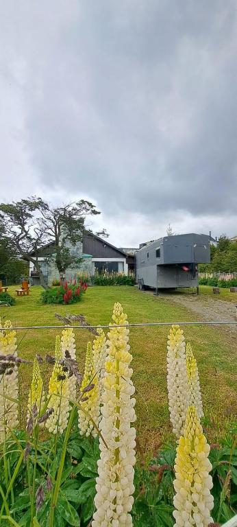 CASA WAIA ULU - 5