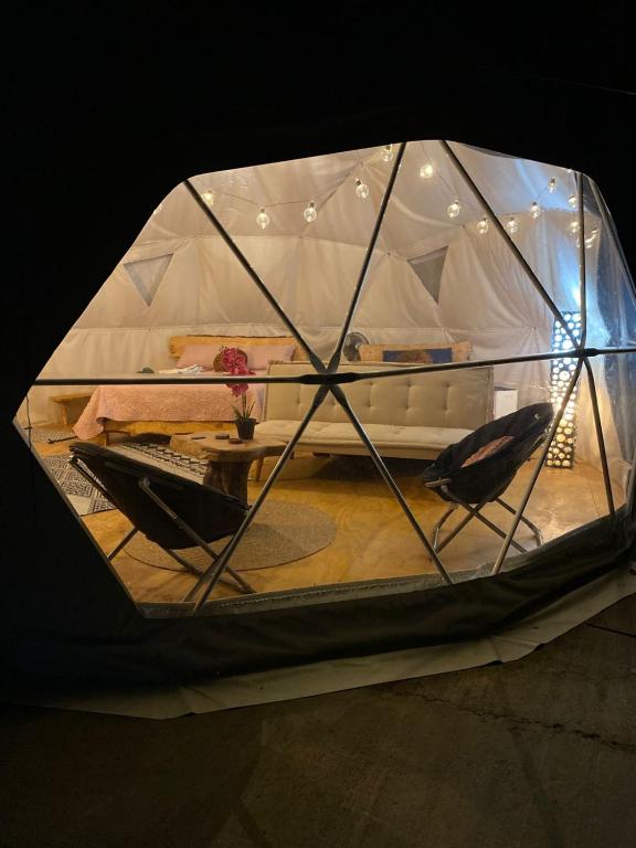 Domo Glamping en el bosque - Coñaripe - 2