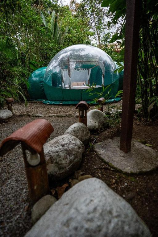 Mindo GlamBird Glamping & Lodge - 3