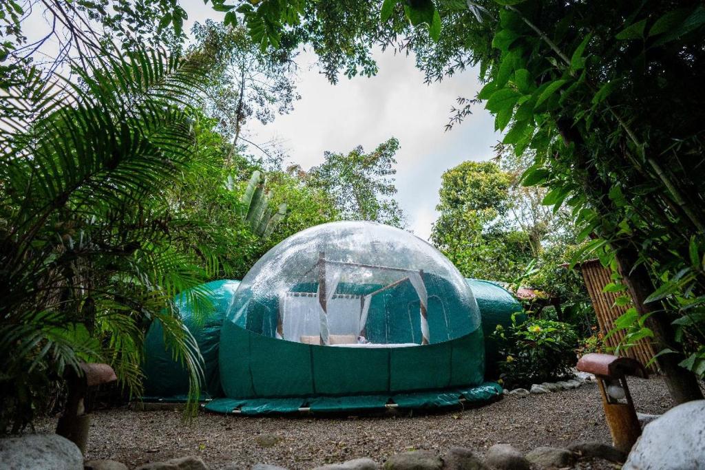 Mindo GlamBird Glamping & Lodge - 4