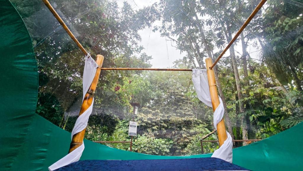 Mindo GlamBird Glamping & Lodge - 5