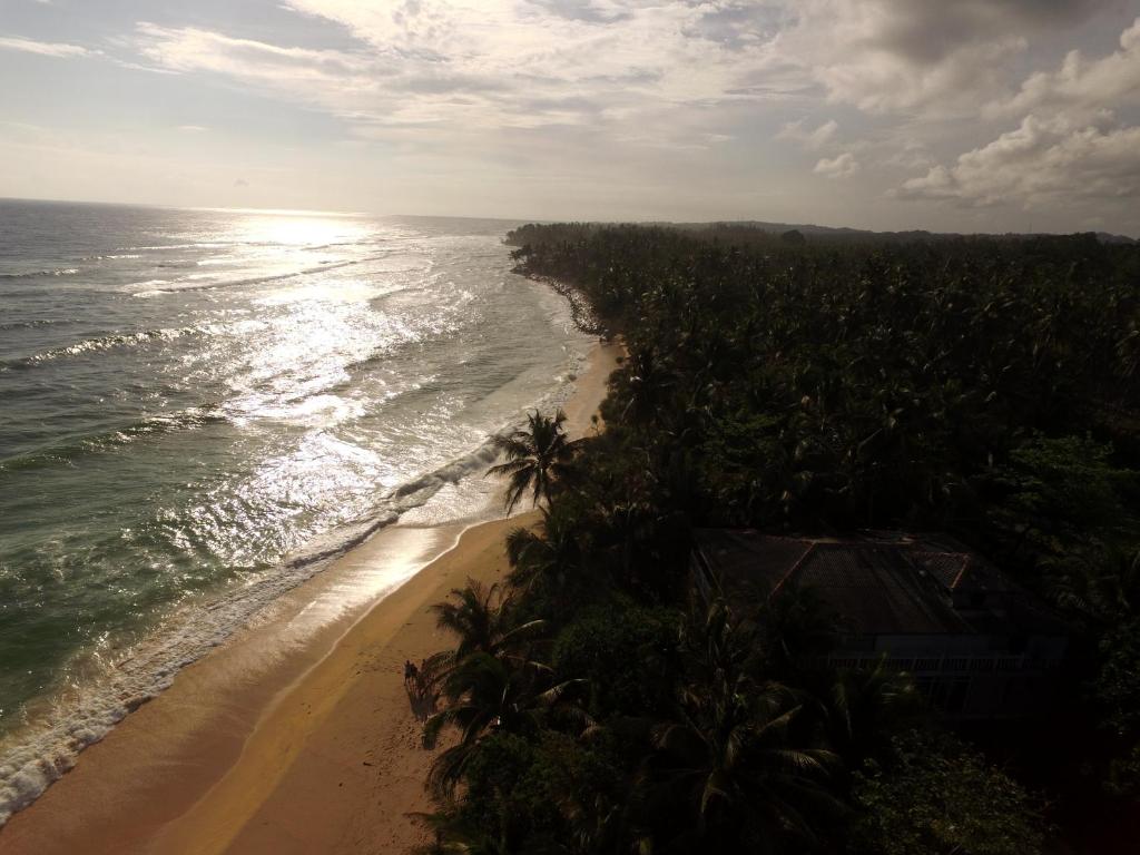 King Coconut Lodge photo