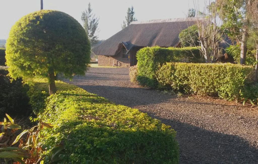 African Flair Country Lodge photo