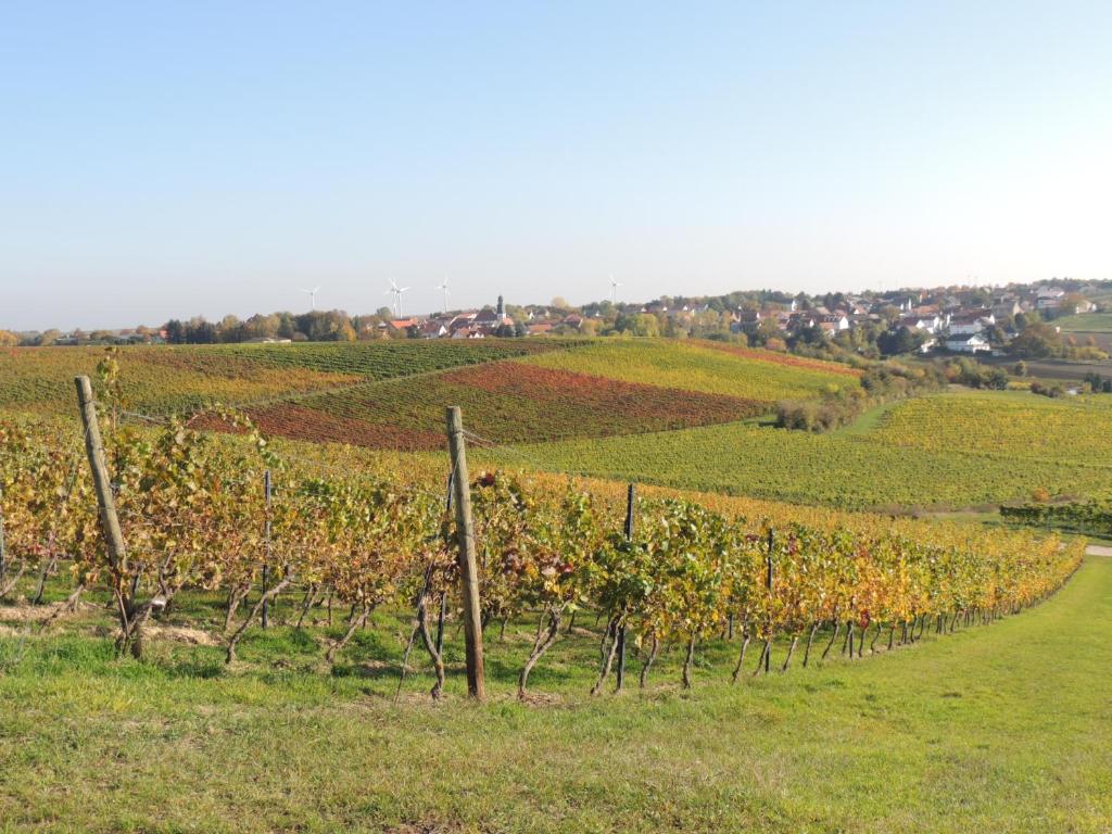Weingut Seck photo