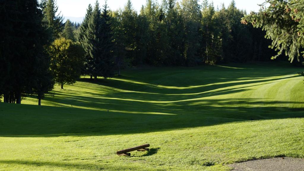 Golf course [on-site]