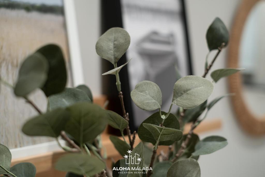Urban Soho Collection by Aloha Málaga - 5