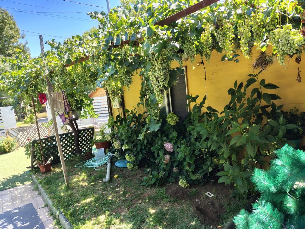 HOSTAL EL ARoMO - 3