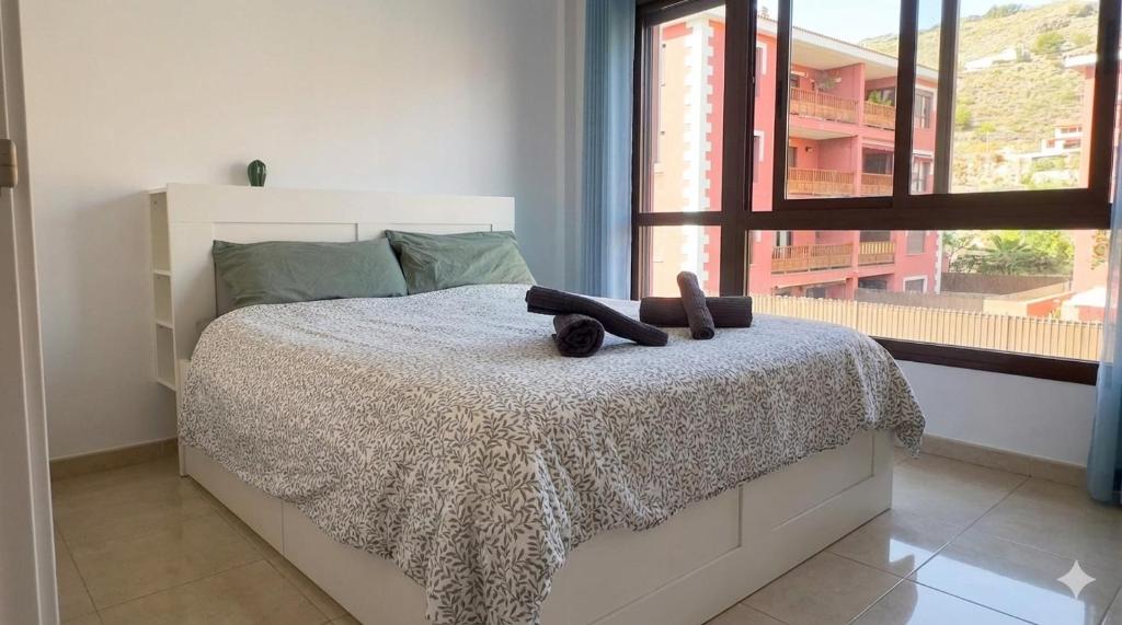Palm Mar Exclusive Suite - Tenerife Sur - 2