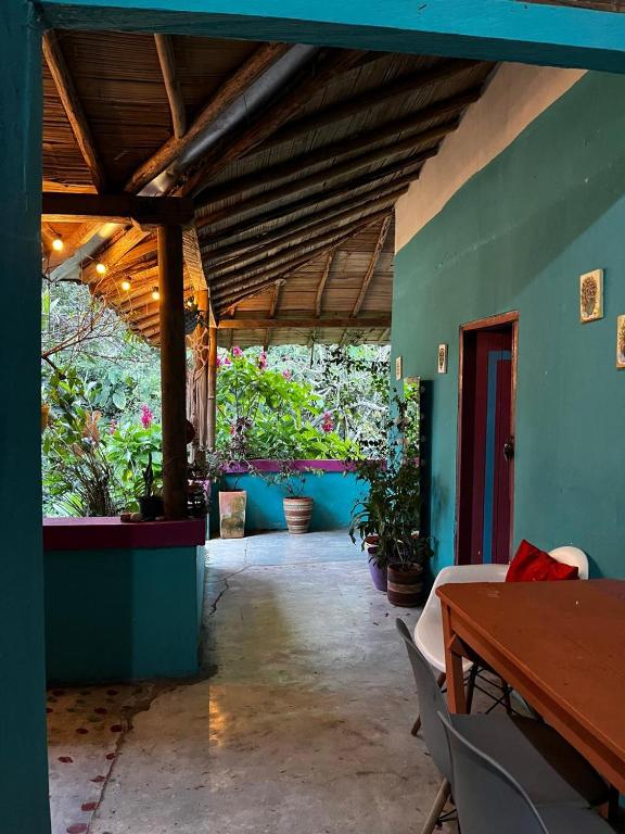 Refugio salvaje - 1