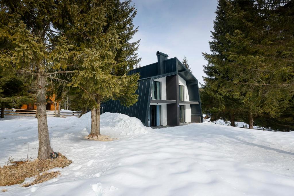 Chalet Marko Jahorina - Dvorista - 2