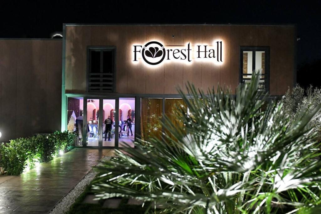 Forest hall - 5