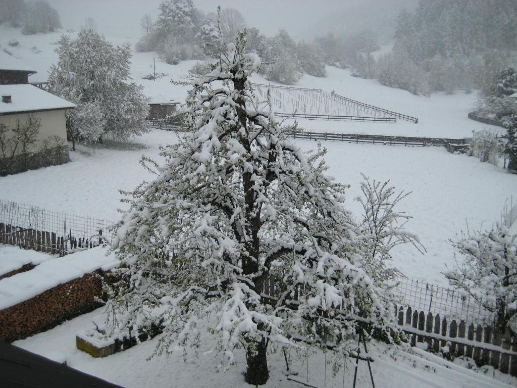Kruglwirt photo