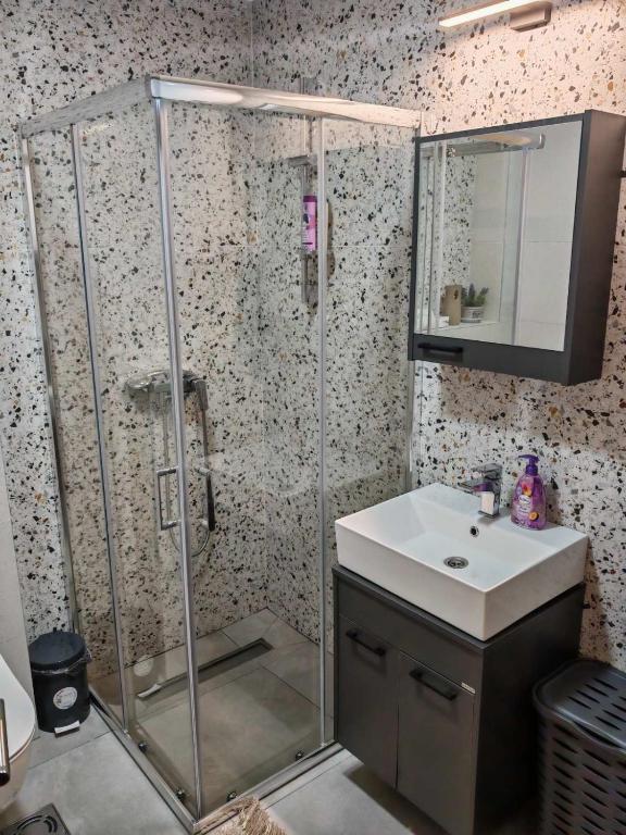 Apartman Amber Vrnjačka Banja - 4