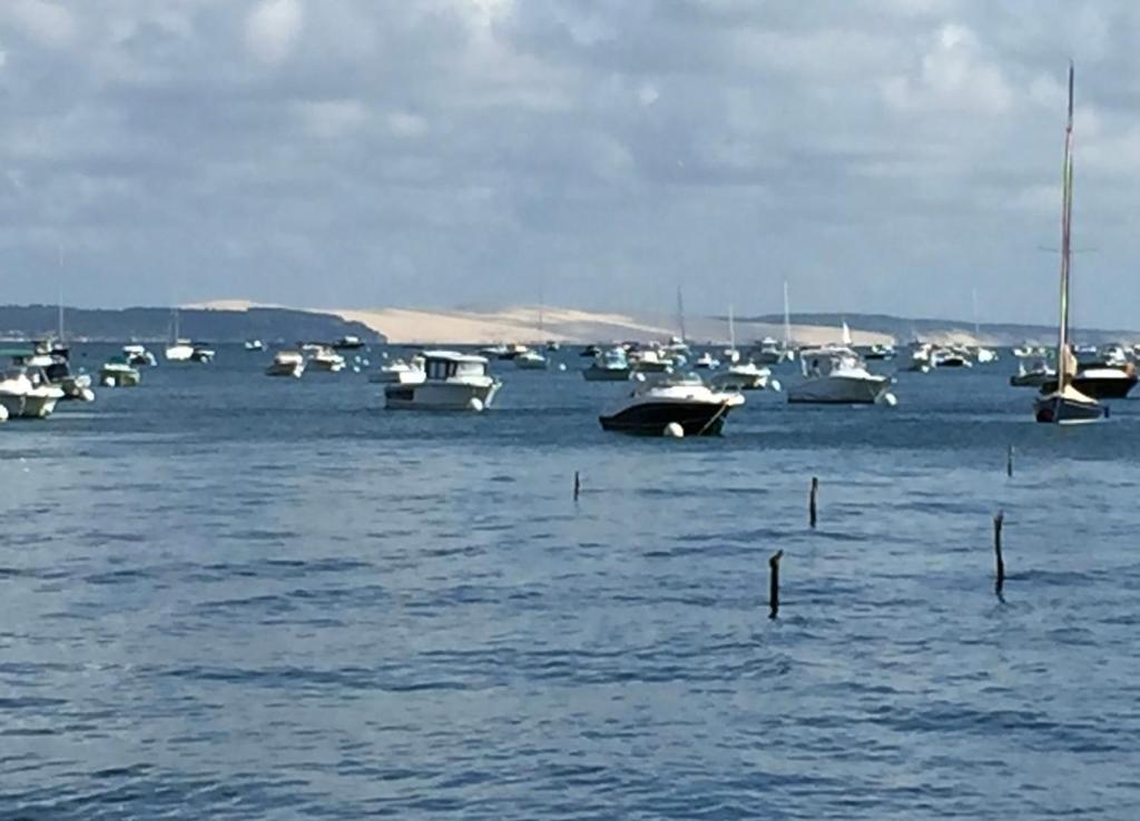 Location Mobil Home, Lège Cap Ferret, Camping 4 étoiles, Parc Aquatique - 1
