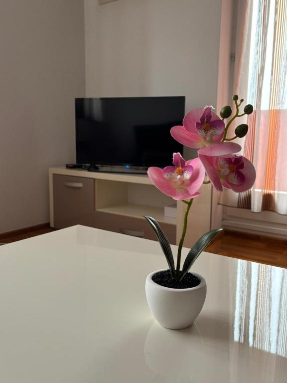 Apartman Pale centar - 3