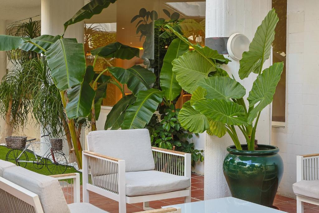 Aluasun Lago Rojo - Adults recommended — Hotel building in Torremolinos, Andalusia
