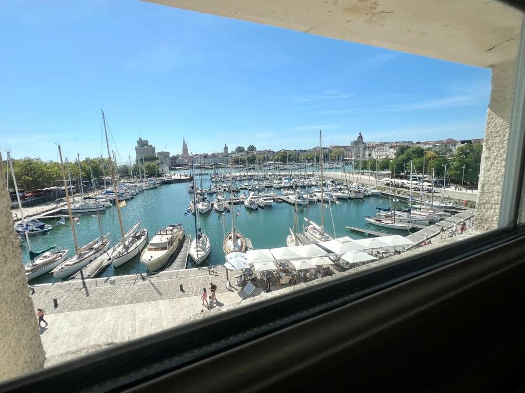 Magnifique Appartement avec Vue sur le Vieux-Port et Terrasse Privée sans vis-à-vis - 5