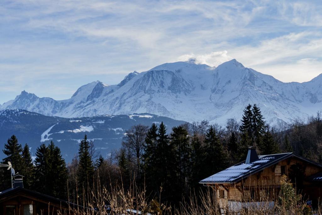 Chalet Panorama - 1