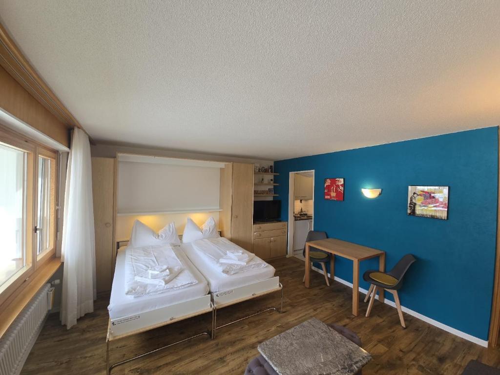 Panorama 20, Grosses Studio, Nahe Ski-Pisten, Parkplatz - 5