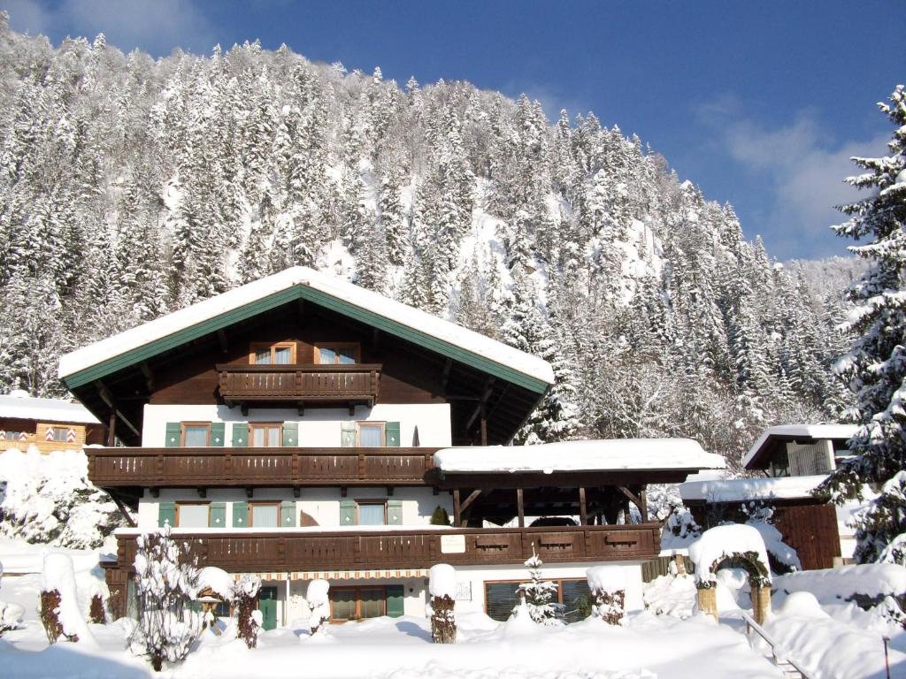 Alpenblick - 2