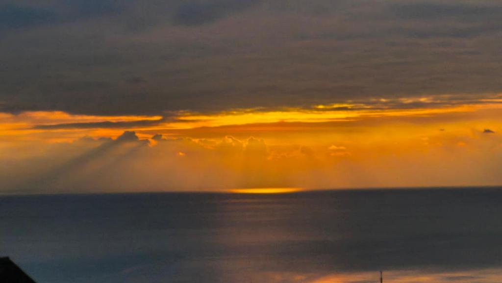 Les vues de Lily- Trouville-sur-mer - 4