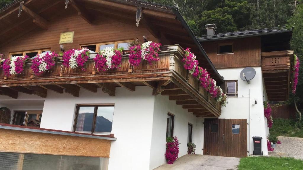 Hundepension Almfrieden - 3