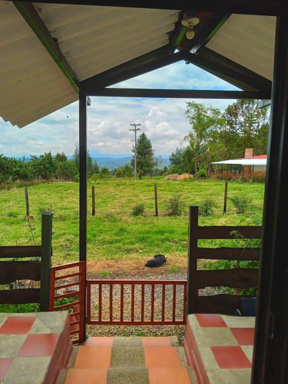 Finca La Milagrosa - 3