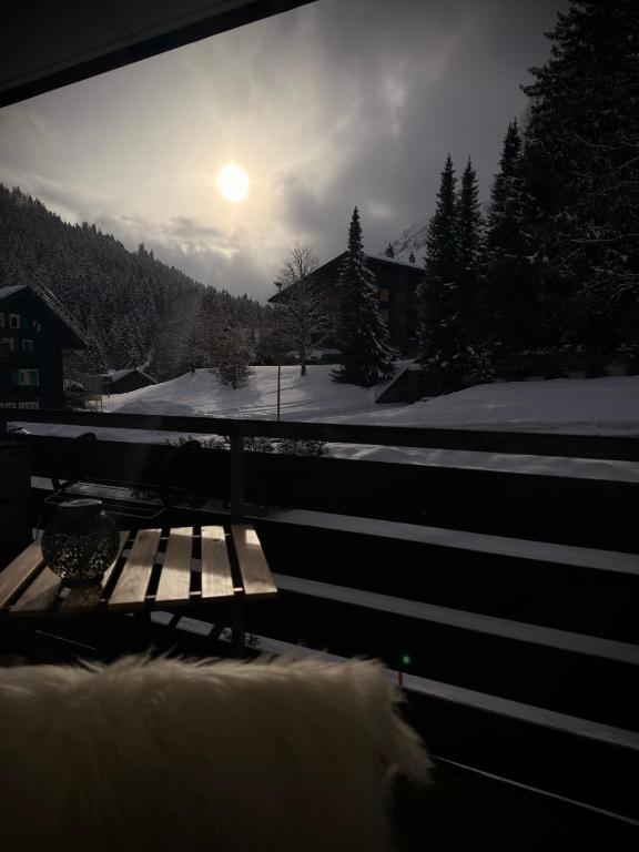 Morgins, studio avec balcon - 3