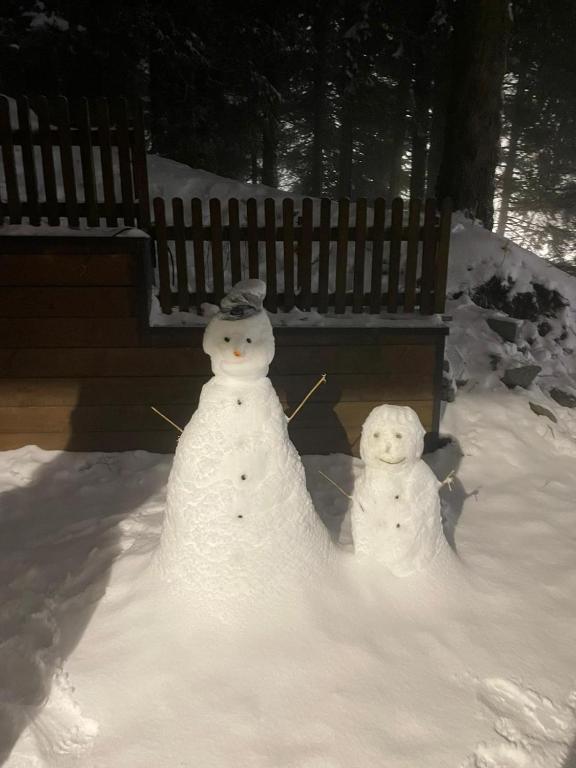 Apartman sa terasom Vila Mina Kopaonik - 3
