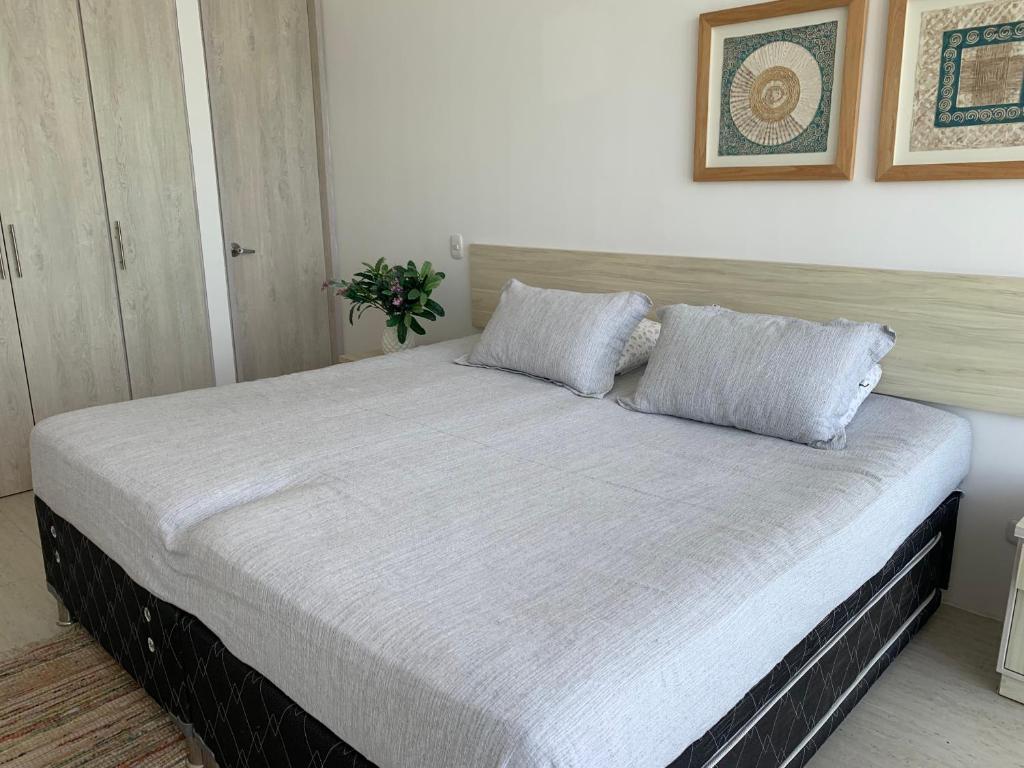 Hermoso apartamento en Santa Marta - 2