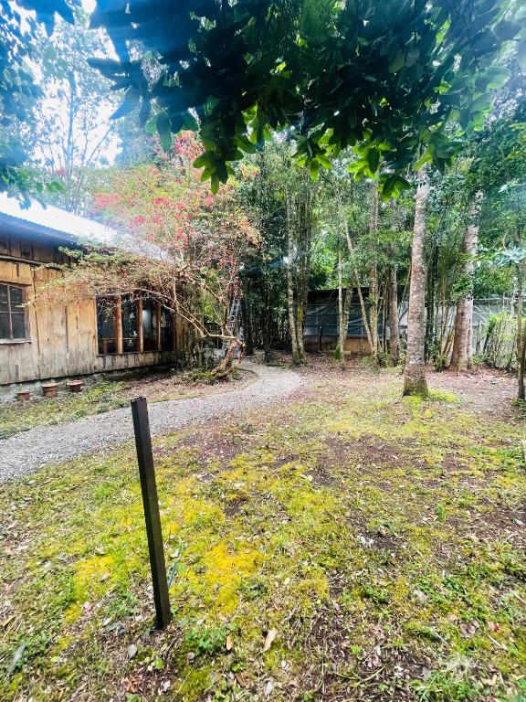 Hermosa cabaña en el bosque - 5