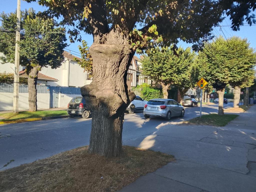 Departamento céntrico independiente muy acogedor en Viña del Mar con estacionamiento incluido - 3