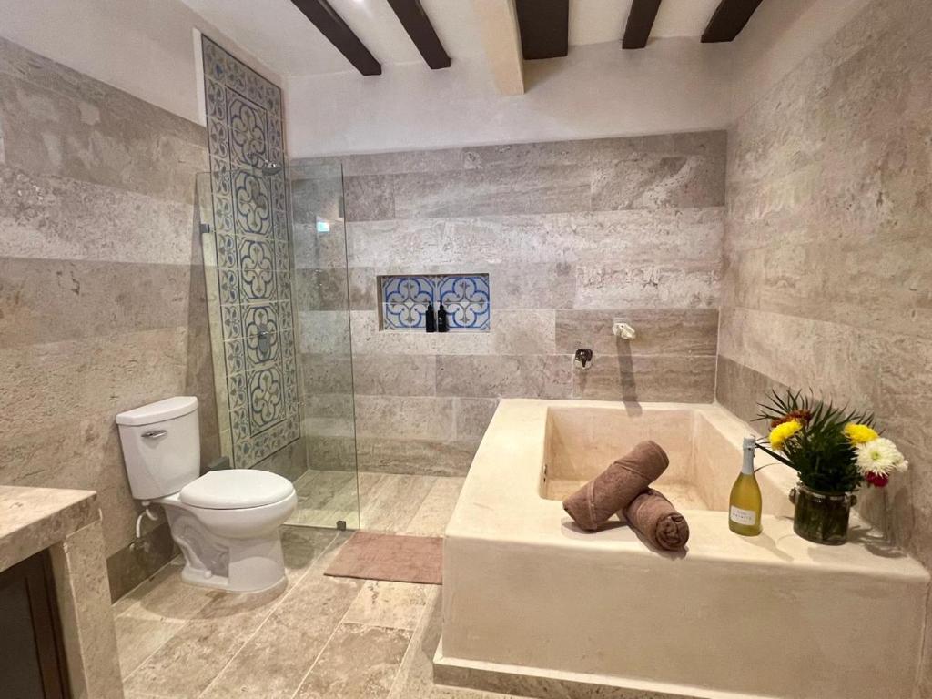 Casa Lucia Valladolid - 3