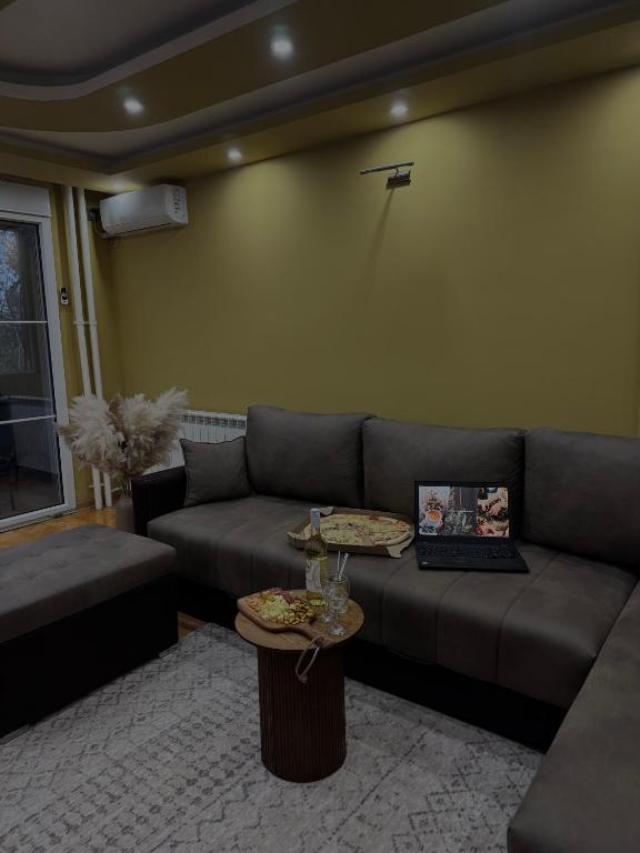 Luksar Apartment Niš - 1