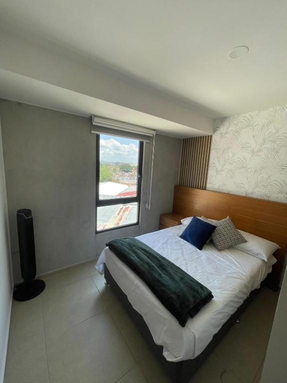 Luxury 2-Bedroom Apartment in Central Zapopan - 3
