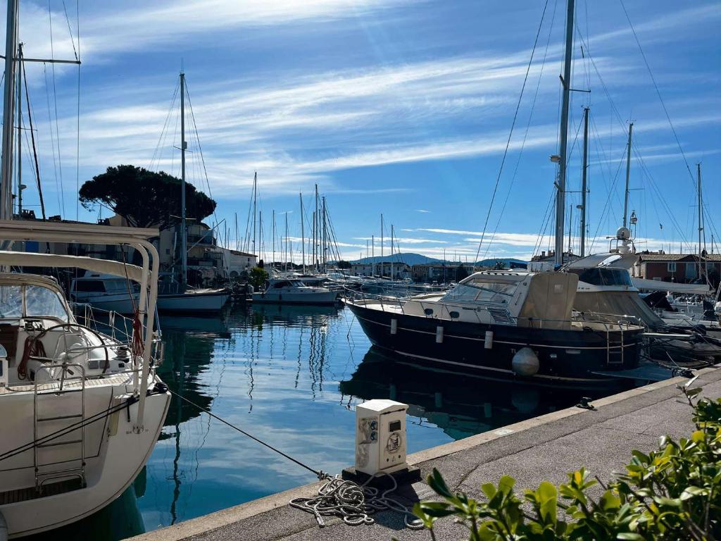 Appartement moderne climatisé avec terrasse à Port Grimaud - FR-1-868-22 - 3